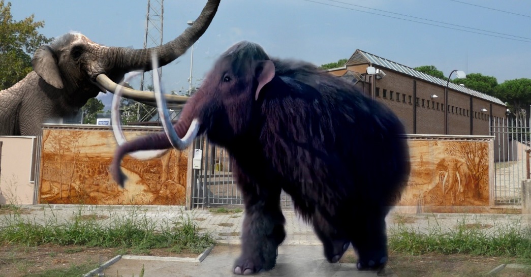 Elefanti contro mammuth Elefanti contro mammuth
