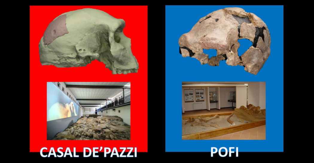 “Intervista doppia” tra il Museo di Casal de’ Pazzi e la ricostruzione del cranio di H. heidelbergensis a partire dal frammento rinvenuto sul sito (a sx) e il Museo di Pofi con il suo cranio ominino, detto “Argil” (a dx) “Intervista doppia” tra il Museo di Casal de’ Pazzi e la ricostruzione del cranio di H. heidelbergensis a partire dal frammento rinvenuto sul sito (a sx) e il Museo di Pofi con il suo cranio ominino, detto “Argil” (a dx)