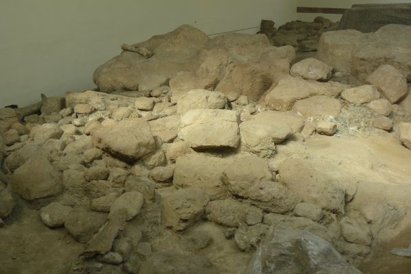 Fig 12: le zanne restaurate e rimontate nel 2015
