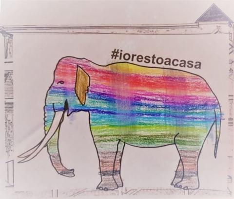 Arianna Belli colora dentro elefante e libera la fantasia