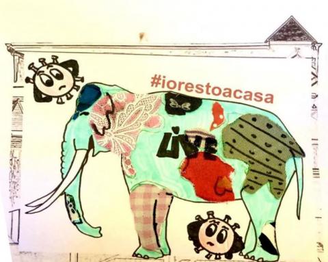 Greta Seghetti colora dentro elefante e libera la fantasia