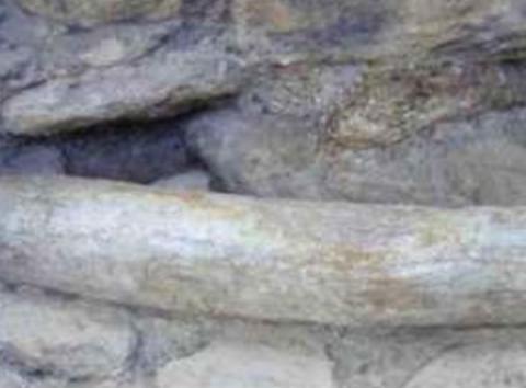 Fig 10: reperti in situ restaurati